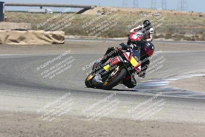 media/Aug-04-2024-TrackDaz (Sun) [[e1ff0814b6]]/Group A/1pm (Grapevine)/